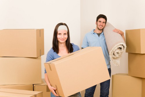 Local moving support in Bromley with careful handling and planning